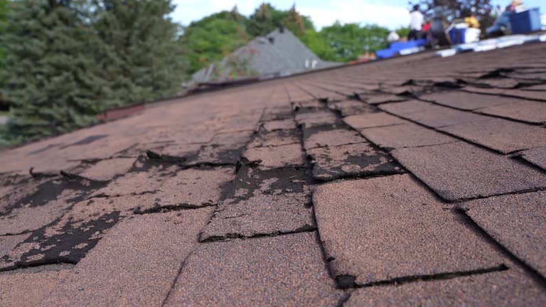Best Commercial Roofing Services  in Lake Fenton, MI
