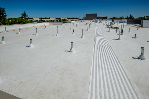 Best Sheet Metal Roofing  in Lake Fenton, MI
